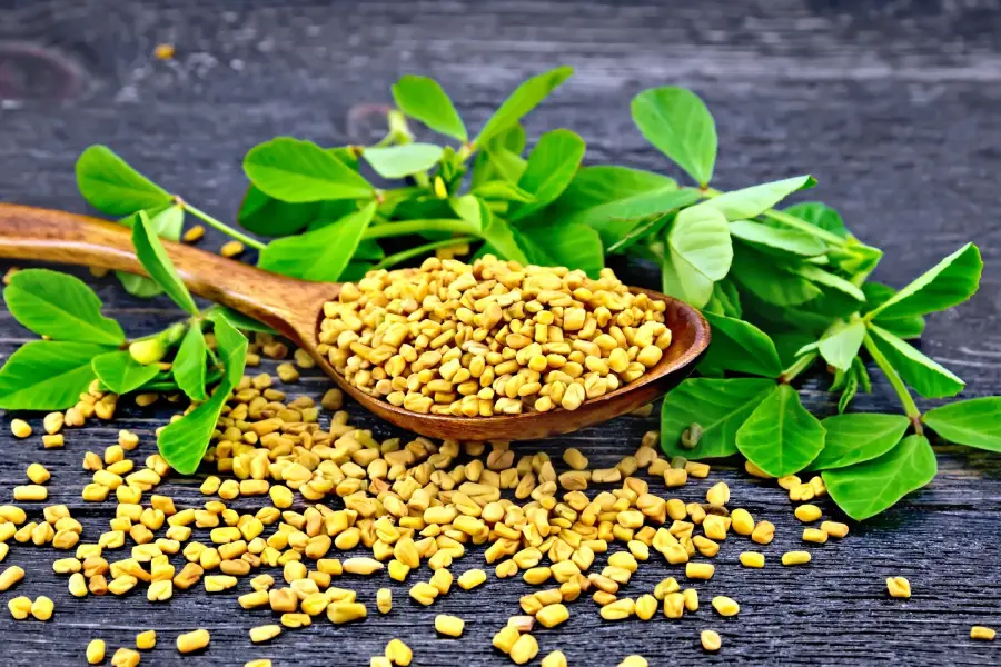 Fenugreek Seeds: A Powerful Spice with Incredible Health Benefits