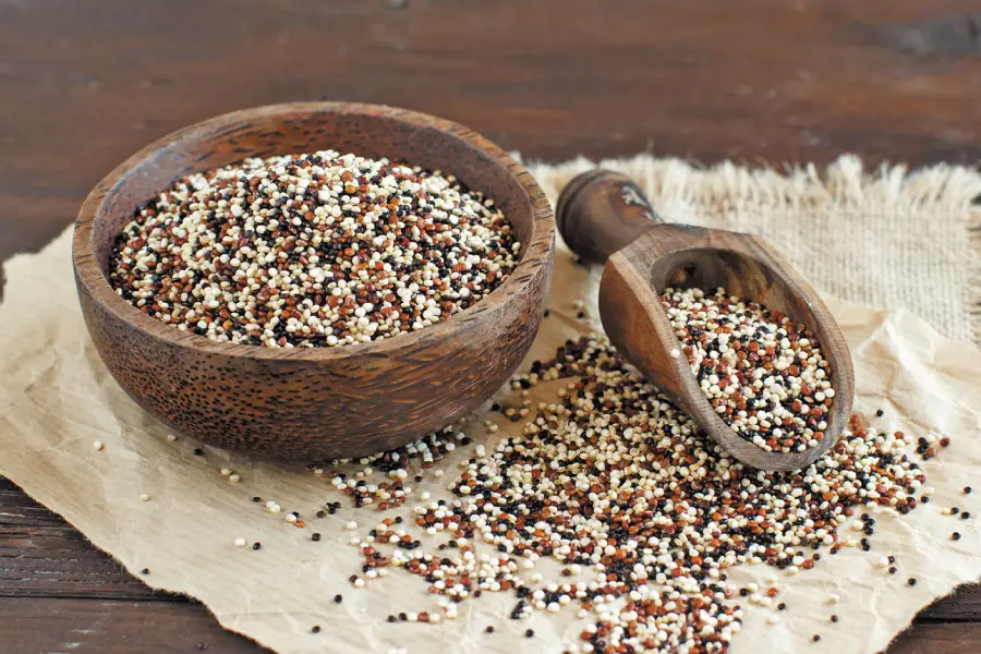 Quinoa – The Ancient Superfood for Modern Nutrition