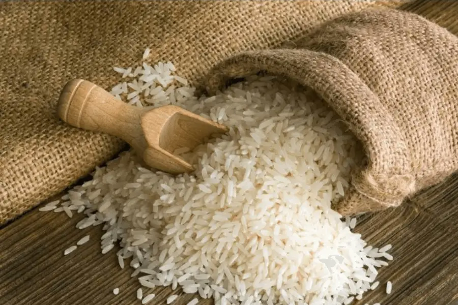 Understanding Non-Basmati Rice: A Global Staple with Diverse Benefits