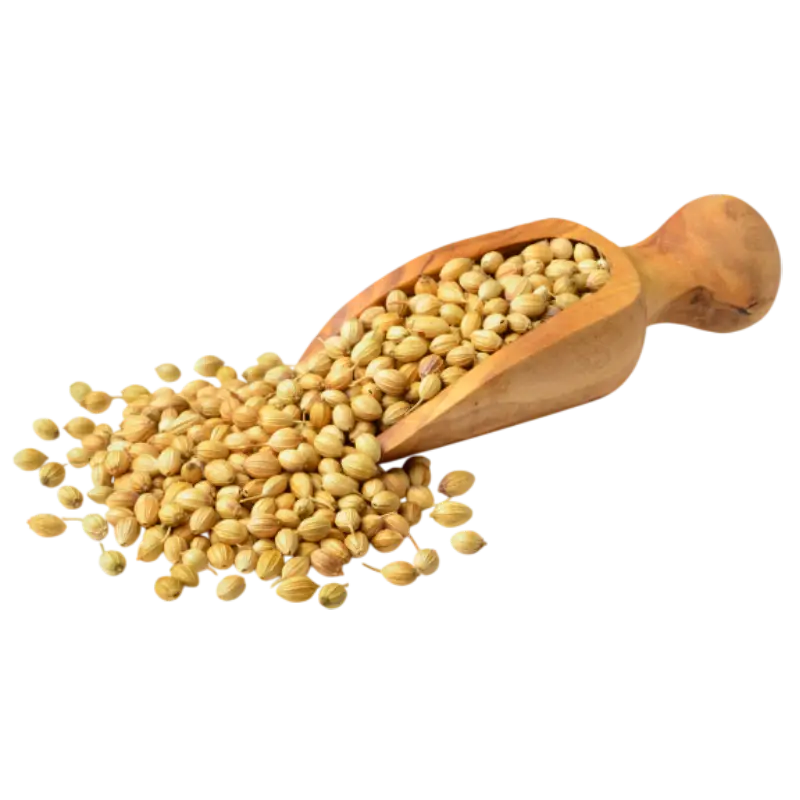 Coriander seeds