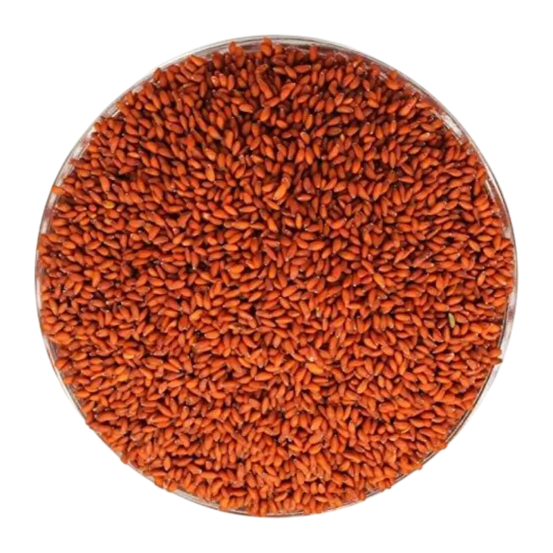 Asaliya seeds 